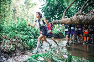 BIB: 
                            <button type="button" onclick="openModal(25473393)" class="btn btn-primary btn-sm float-right btn-popup" data-toggle="modal" data-target=".modal-high-quality">
                        <i class="fas fa-shopping-cart"></i> Add to Cart
                    </button>
                                            <button type="button" onclick="isThisMe(25473393, true)" class="btn btn-success btn-sm float-right btn-popup btn-isme hidden" data-toggle="tooltip" data-placement="bottom" title="นี่คือรูปของคุณใช่ไหม คลิกที่นี่เพื่อเอาเข้าอัลบั้ม">
                        <i class="fas fa-plus"></i> Add to album
                    </button>
                    <button type="button" onclick="isThisMe(25473393, false)" class="btn btn-warning btn-sm float-right btn-popup btn-isnotme hidden">
                        <i class="fas fa-ban"></i> Remove from album
                    </button>